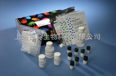 人環(huán)磷酸鳥苷(cGMP)ELISA試劑盒 詳細指導(dǎo)與可靠售后